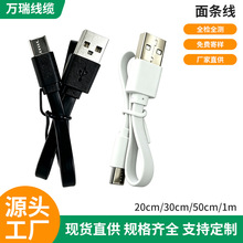 厂家批发面条线充电宝数码设备充电线2A环保快充扁线type-c数据线