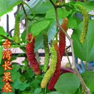 �Լ������L��ɣ ���� ɣ�� ������ ��ժ���x �ϱ����Nֲ �ļ��Y��