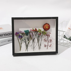 2-3-5CM 3D Hollow Dried Flower Preservation Photo Frame DIY Plant Shell Rose Everlasting Flower Specimen Display Frame
