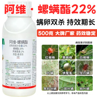 �t֩�뚢�x�����\������ș���S���\��22%���ٹ��仨�ܼt��֩��