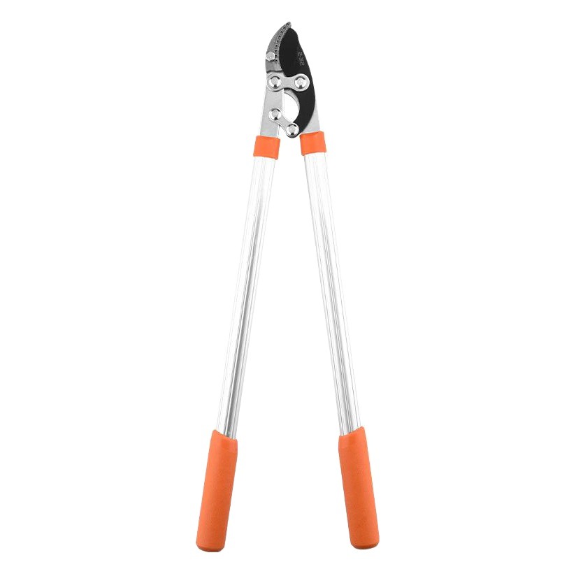 Tijeras de rama de poda Tijeras de poda de árboles frutales Tijeras fuertes de jardín Tijeras de rama gruesa Tijeras fuertes Rama de flores Herramientas de jardinería Tijeras de rama alta