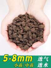 �����m������üɽ�������w��ֲ�ό���������ˮ��ˮ���w����