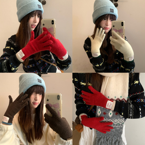 Touchscreen Color-blocked Knitted Gloves for Women - New Fall/Winter Style, Warm and Windproof, Riding and Outdoor Split-Finger Gloves - Trendy