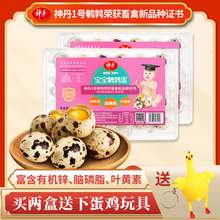 �񵤌����g����24ö���b�X��֬�\�����ߟo������С���ߵ���ȥ��