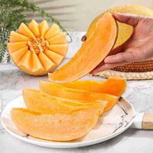 【严选】海南黄金蜜瓜 代发3斤黄河蜜瓜头茬爆甜哈密瓜新鲜水果