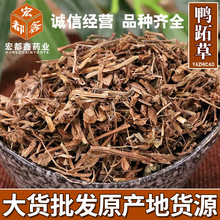 供应中药材鸭跖草 鸭舌草 鸭趾草粉原料 冷背药材
