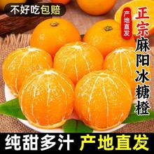 湖南麻阳冰糖橙新鲜水果当季整箱橙子年货果冻9市场现摘