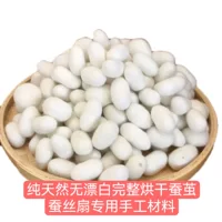 2026新款烘干蚕茧设备推荐｜高效节能｜支持农村补贴
