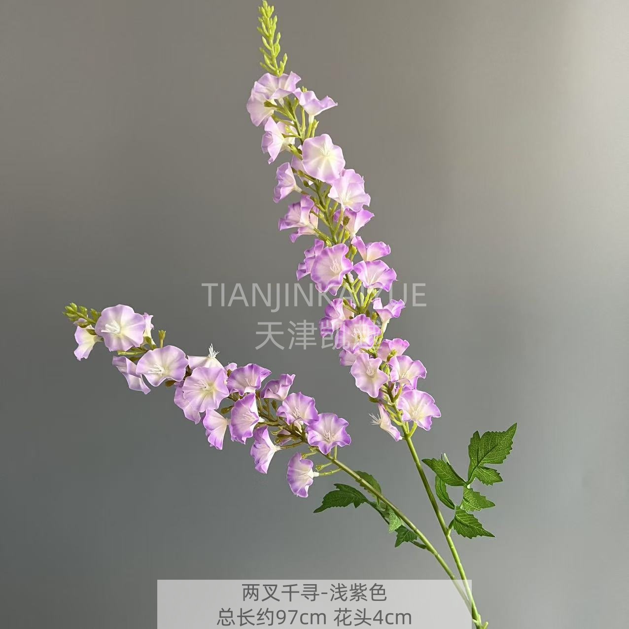 연한 보라색