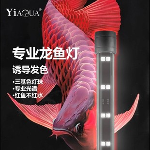 Dragon fish special lamp fish tank lighting LED tricolor waterproof ornamental lamp dragon fish brightening red diving lamp