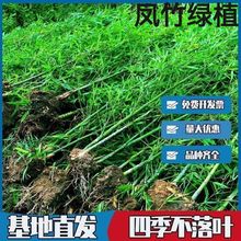 ���Ә���ͥԺ�^�p�ͺ��������������S���������ļ��_�h