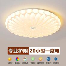 �����L���ҟ�������픟�2026���¿�F�����s�ǿ՟��߾W�t���g����