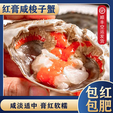 舟山红膏呛蟹宁波特产鲜活整只生腌梭子蟹即食商用咸炝蟹醉蟹批发