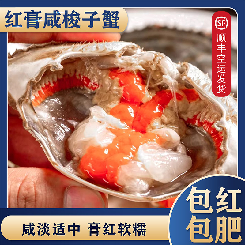 舟山红膏呛蟹宁波特产鲜活整只生腌梭子蟹即食商用咸炝蟹醉蟹批发