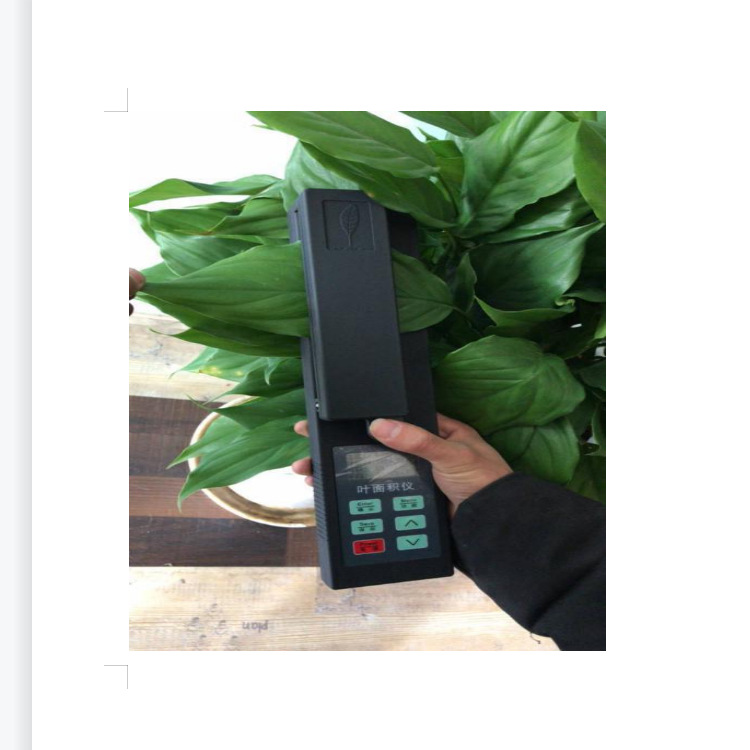 杭州绿博YMJ-B活体叶面积测定仪