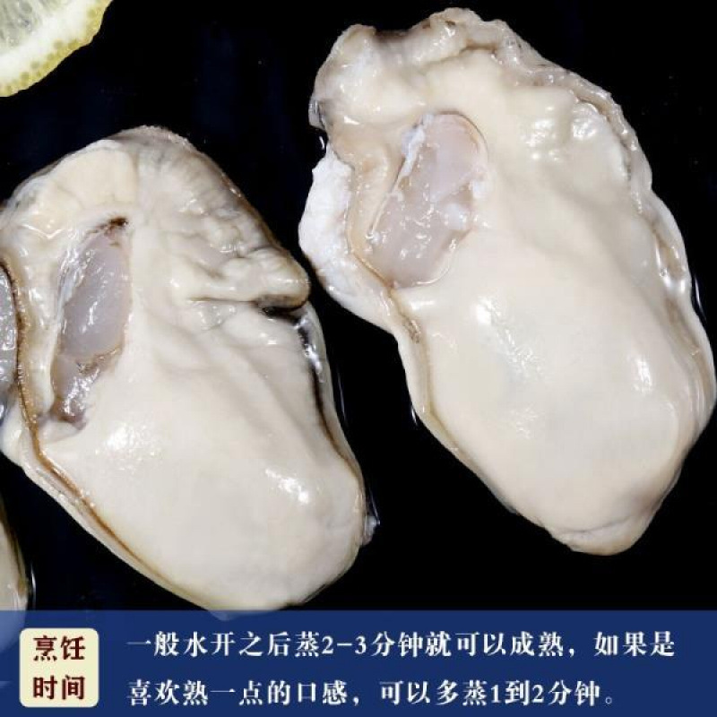 生蚝鲜活去壳生蚝肉非冷冻中国大陆/福建省/漳州市新鲜海蛎子肉