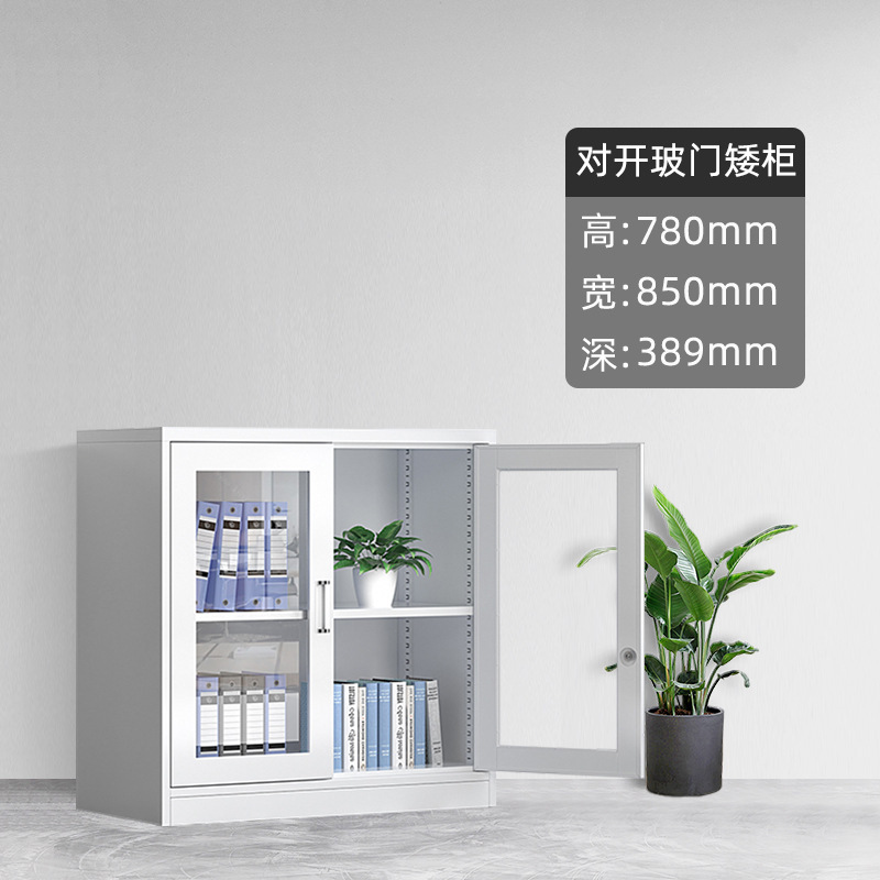 鋼製書類棚事務室資料棚財務証明棚鉄皮収納棚書類棚鍵付き低い棚メーカー