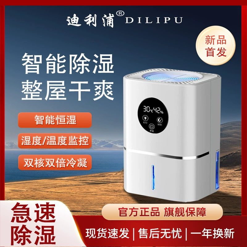 Осушитель домашнего осушения Осушитель воздуха в спальне Осушитель влагопоглощающий влагу Осушение помещения разморозка небольшой артефакт