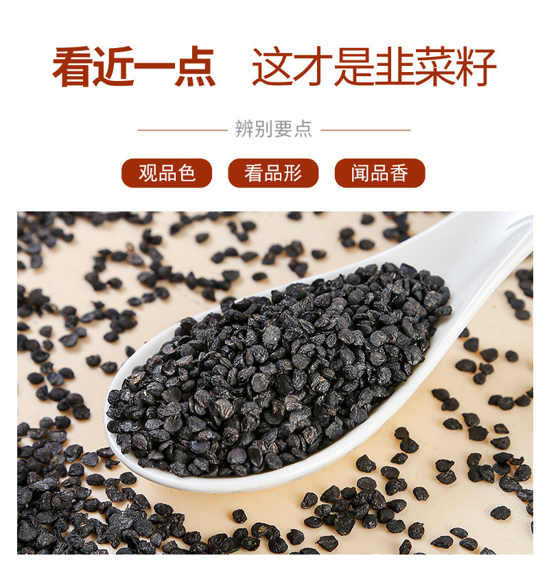 Jiu Cai Zi (Allium tuberosum) — Roasted Chive Seeds, Food-Herb for Tea & Powder quality and texture