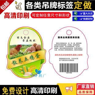 �OӋ����ɢ�B���u�����ƾG�����������g�����W���W���̘˘˺�����