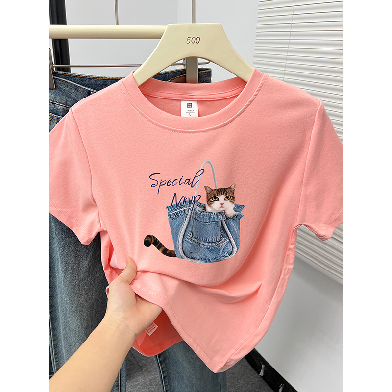 핑크【가방고양이】