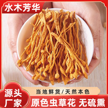 �x�ݻ���؛Ӽ�x�ݱ����x�������^�Ҝ����ϏS�Һ��b���݌����b���b