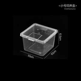 lk寄居蟹盒睫角跳蛛饲养箱跨境爬虫箱爬行动物螳螂人渣饲养盒养蚕