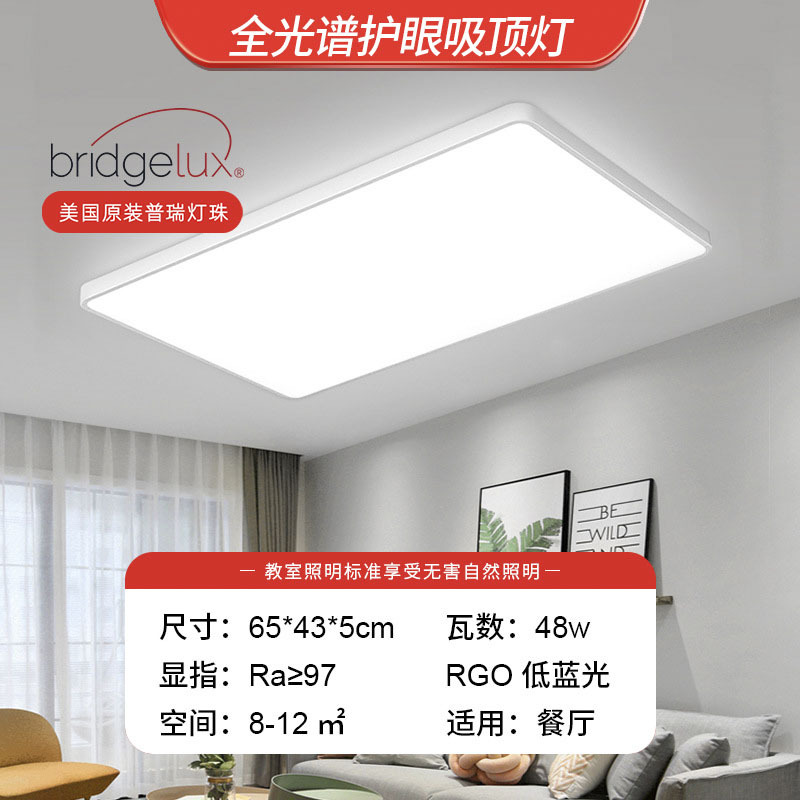 Espectro completo de Purie - rectangular 65 * 43CM - 48W