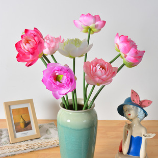 ����Gֲ�ɻ�ɏ��ٻ��͏d�����[��ˮ���b�ɏ��diy�廨���滨��
