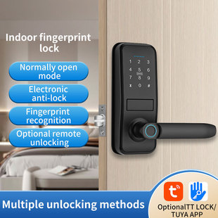 Graffiti Smart Door Lock Anti-theft Fingerprint Password Lock Office Apartment Door Bluetooth APP Electronic Smart Lock