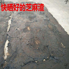 ֥�����������5��1�� ֥����������������N����~�����߲˷���