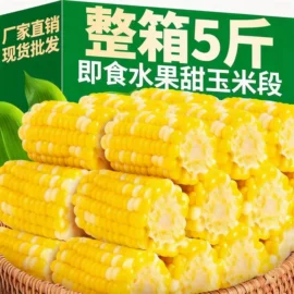 月饼;传统糕点;速溶咖啡