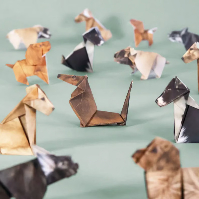 新款DIY Paper Cats DIY纸猫折叠动物折纸50pcs|undefined