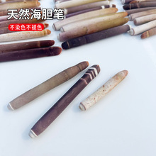 4-10cm天然贝壳海螺 海葵枝 海胆笔 水族造景手工DIY风铃饰品配件