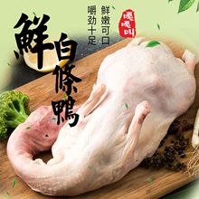 新鲜冷冻白条鸭整鸭冷冻鸭子烤鸭【900-1000克/只】白条鸭去内脏
