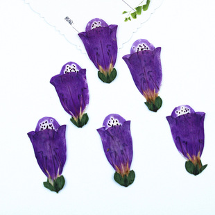 ë���S�ɻ�����Ѻ�����l���̨���������uͨ�羳���udiy���ϰ���