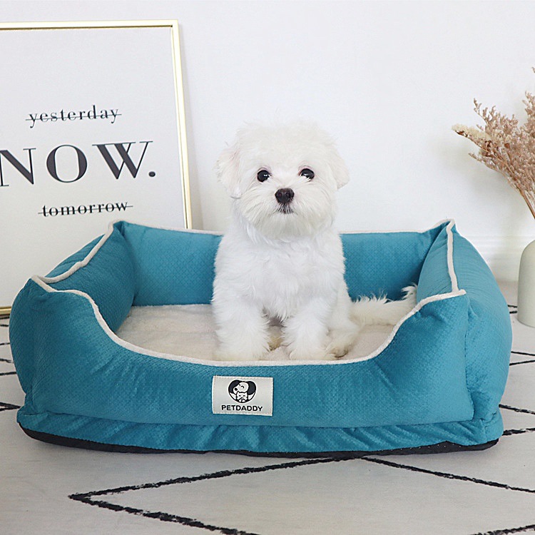 Павлин синий