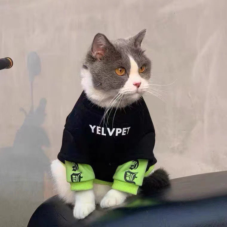 网红猫衣服猫咪衣服幼猫0到3个月洋气加绒拼接卫衣全包可爱防掉毛|undefined