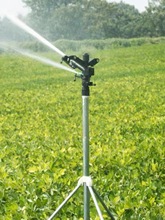 �Ԅ����D�r�I��ȓu�ۇ��^�@�־G����ƺ�����r�ô��￹�����