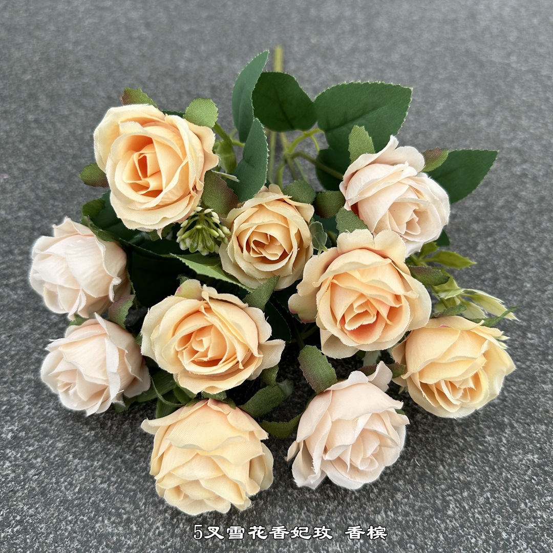 雪花香妃玫 (9).jpg