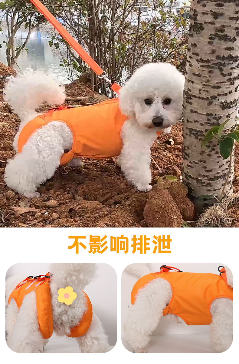 详情图