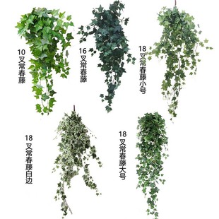 ���泣���ٱڒ� ��c���Tֲ�ﱳ���������b��ٗl�����S�����l