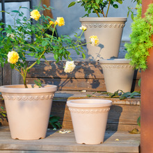 �β�����ַ������Ϗ͹Ÿ���Ӻ�22�ڏ����@ͥԺ�Ҿ����l���ϻ���