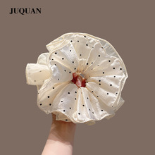 �n�沨�c����lȦŮ2025�¿�߼��аٴ�l�K���X���^�����Rβ�l�