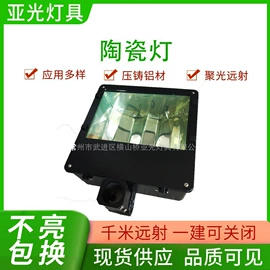 泛光灯;投射灯;隧道灯具