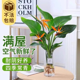 �����B���Ի���ˮ��ֲ���Q���m�҃����B��o��ˮ�B����͏d�Gֲ
