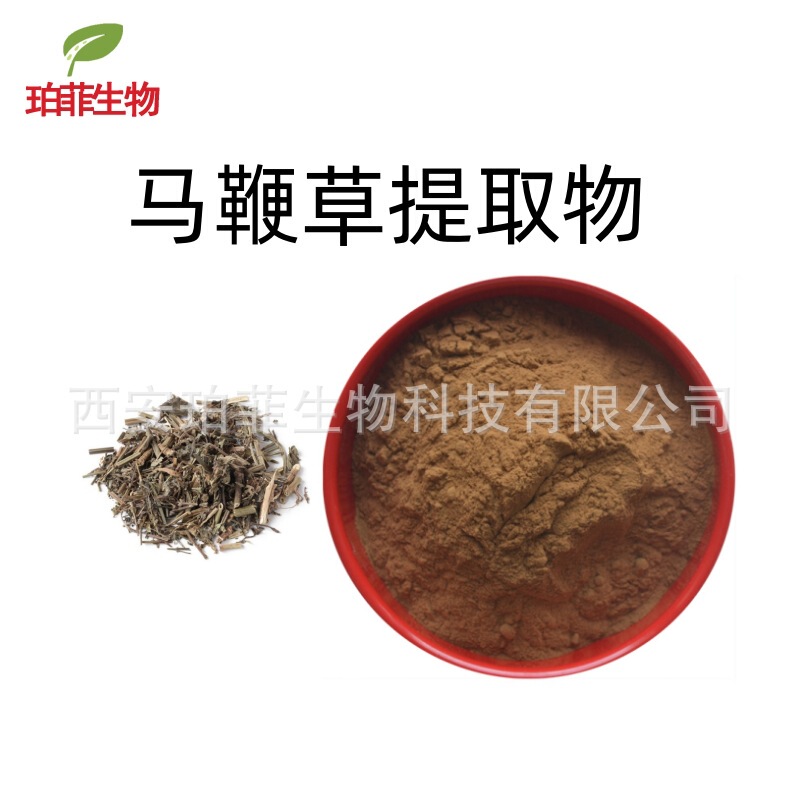 Verbena Extract 30:1 Verbena Raw Material Powder Perfi In-Stock Water-Soluble Verbena Leaf Powder