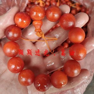 �L��ɽȫ͸������ľ�ִ��M�͖|�����������������������t����ɢ