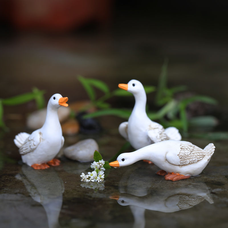 微景观小摆件迷你白鸭子动物花园庭院盆栽鱼缸水山装饰品