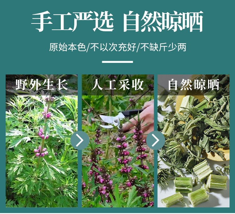 Dried Motherwort Herb Yi Mu Cao 500g Wild Harvested Whole Herb for Foot Soak Tea and Decoction key features
